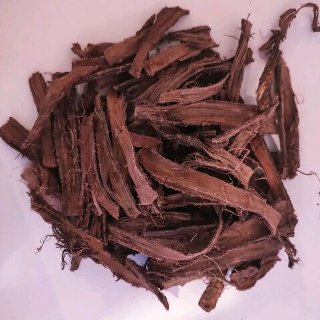 mexican mimosa hostilis root bark mexican mimosa hostilis root bark